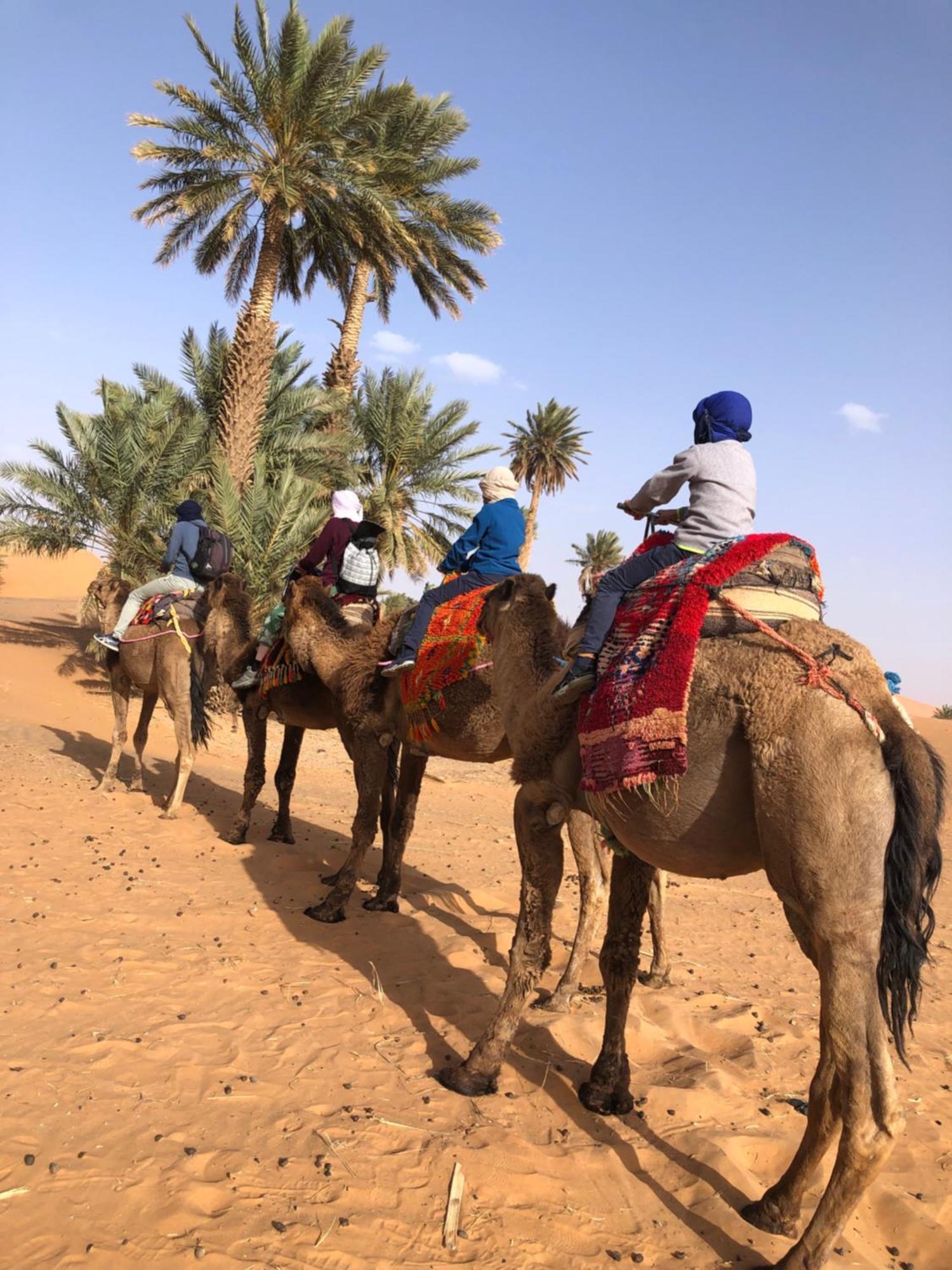 Bivouac Le Petit Prince Merzouga Zewnętrze zdjęcie