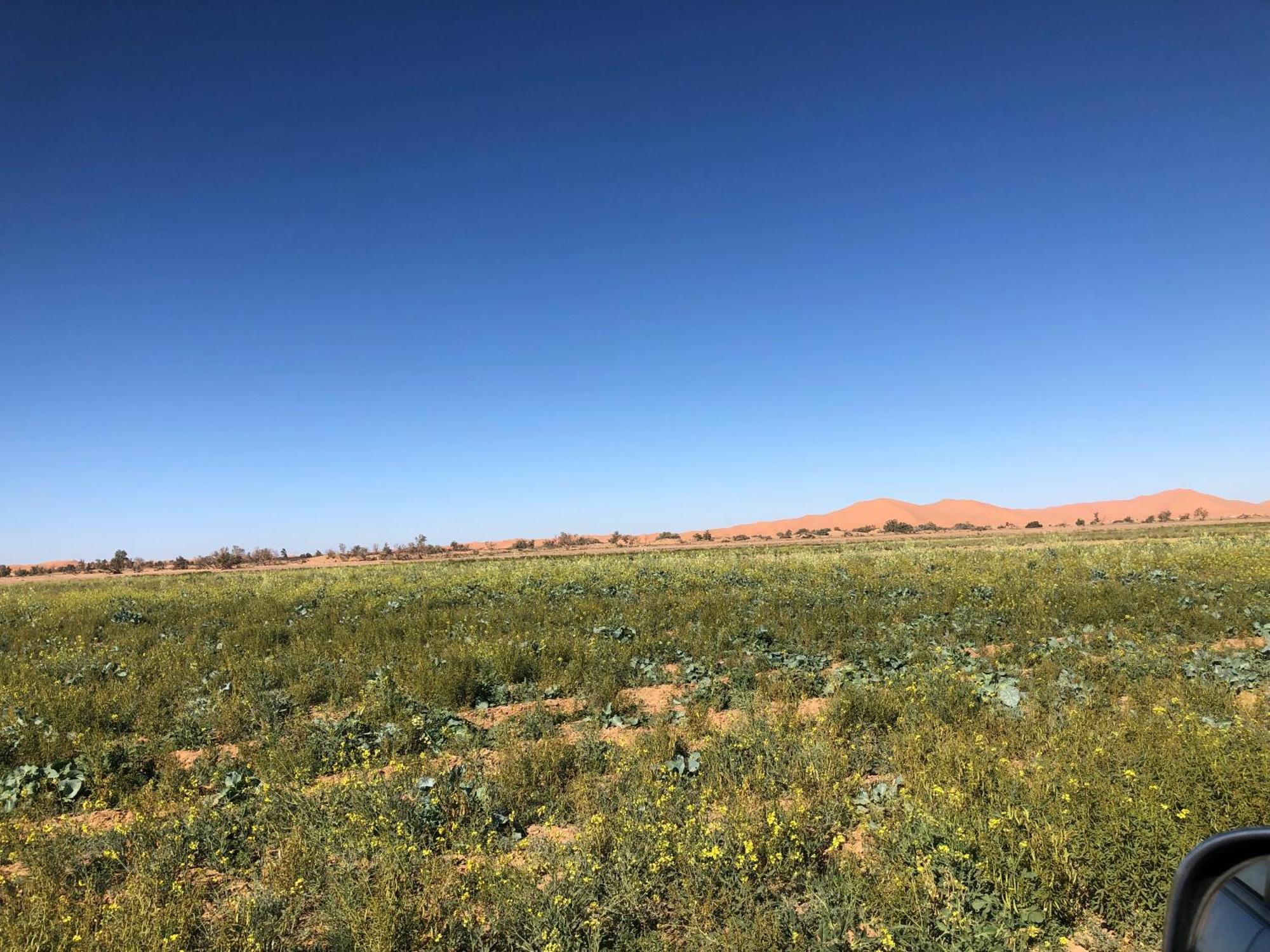 Bivouac Le Petit Prince Merzouga Zewnętrze zdjęcie